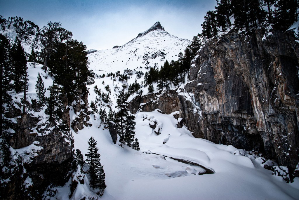 Forau d'aigualluts con nieve