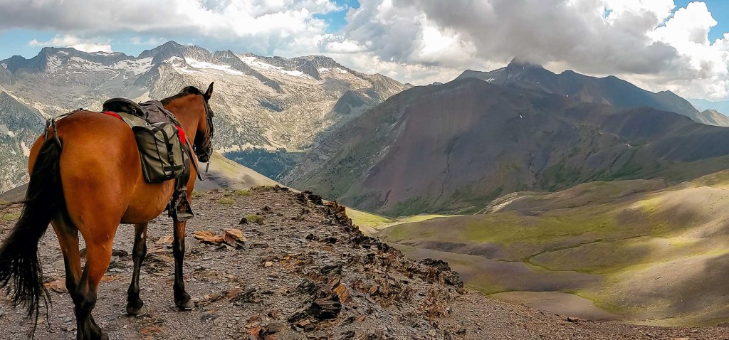 Caballo en El rincón del cielo Caballo en un paisaje de montaña del Valle de Benasque